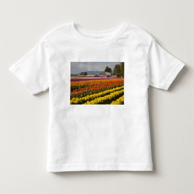 Camiseta De Bebé WA, Skagit Valley, campos Tulip en flor, en (Anverso)