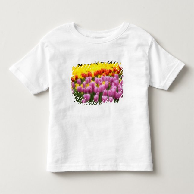 Camiseta De Bebé WA, Skagit Valley, Roozengarde Tulip Garden, 2 (Anverso)