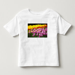 Camiseta De Bebé WA, Skagit Valley, Roozengarde Tulip Garden, 2
