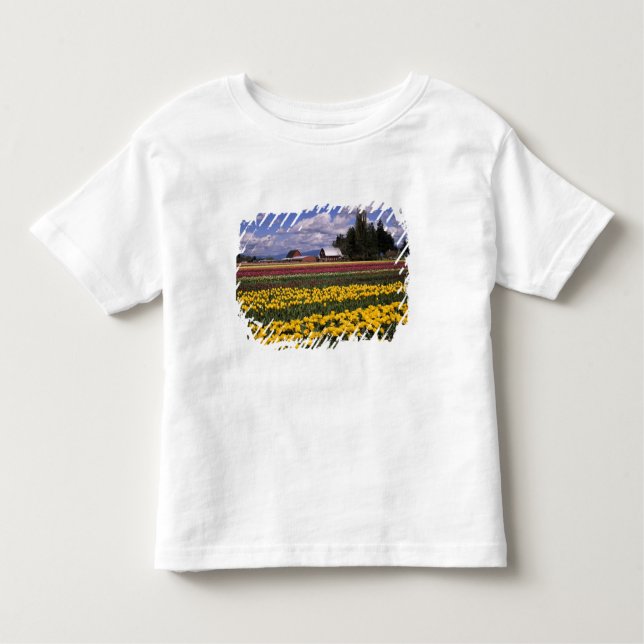 Camiseta De Bebé WA, Skagit Valley, Skagit Valley Tulip (Anverso)
