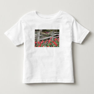 Camiseta De Bebé WA, Valle de Skagit, Jardín de Tulipanes Roozengaa