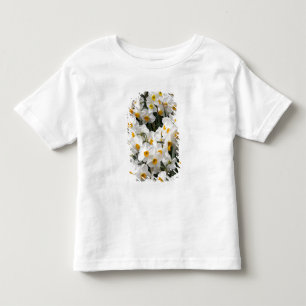Camiseta De Bebé WA, Valle de Skagit, patrón de narcisos