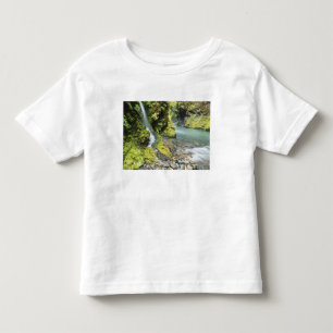 Camiseta De Bebé Washington, Parque Nacional Olímpico, Estacional