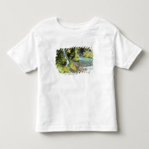 Camiseta De Bebé Washington, Parque Nacional Olímpico, Estacional