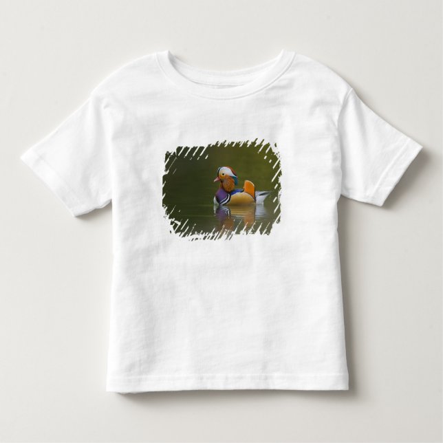 Camiseta De Bebé Wild Mandarin Duck Aix galericulata) sobre la oscu (Anverso)