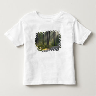 Camiseta De Bebé Wilderness Drive, Parque Estatal Itasca,