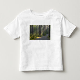 Camiseta De Bebé Wilderness Drive, Parque Estatal Itasca,