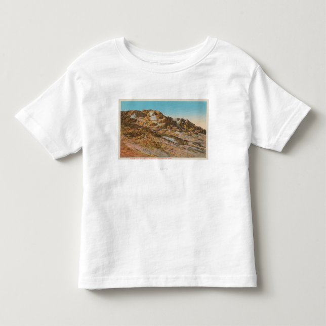 Camiseta De Bebé Yellowstone, WYView de la terraza de Júpiter (Anverso)