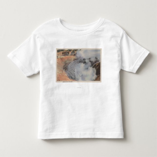 Camiseta De Bebé Yellowstone, WYView del cráter del volcán del (Anverso)