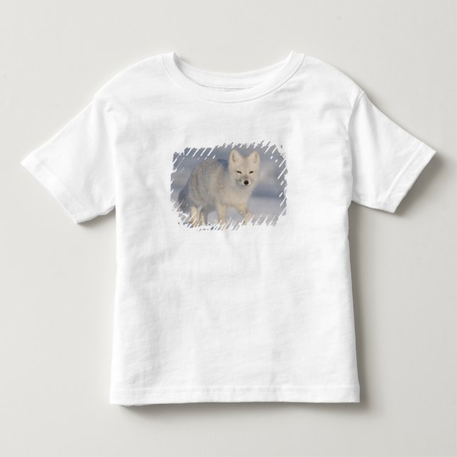 Camiseta De Bebé Zorro ártico, Alaska (Anverso)