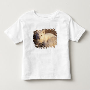 Camiseta De Bebé zorro ártico, laguna alopex