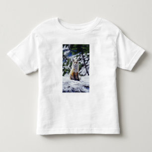 Camiseta De Bebé Zorro rojo sentado en un banco de nieve, Vulpes, M