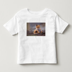 Camiseta De Bebé zorro rojo, Vulpes vulpes, cachorro rascándose,