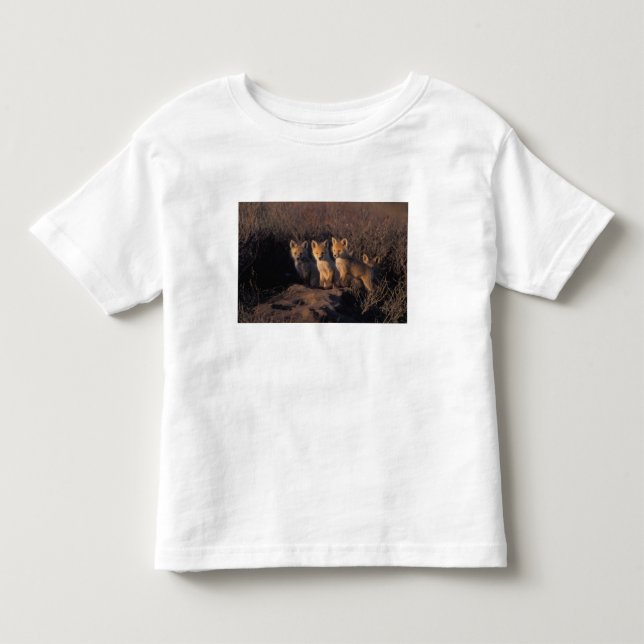 Camiseta De Bebé zorro rojo, Vulpes vulpes, crías (Anverso)