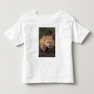 Camiseta De Bebé zorro rojo, Vulpes vulpes, en colores de otoño
