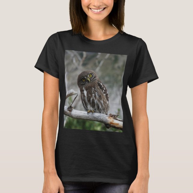 Camiseta de búho pigmeo del norte (Anverso)