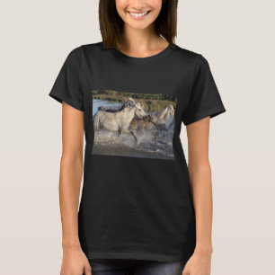 camiseta de caballos en marcha