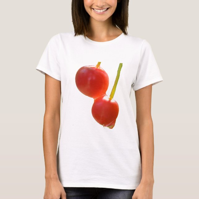 Camiseta de cerezo (Anverso)