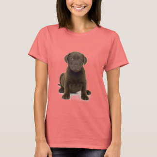 Camiseta de Chocolate Labrador