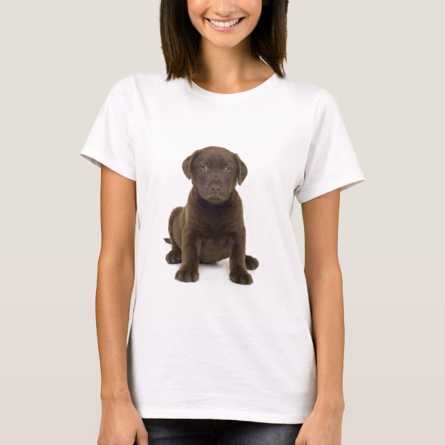 Camiseta de Chocolate Labrador (Anverso)