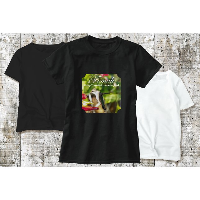 Camiseta de colibrí en comedero (Subido por el creador)