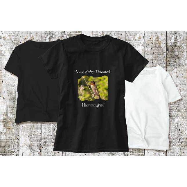 Camiseta de colibrí masculino Ruby-Throated (Subido por el creador)