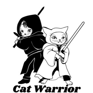 camiseta de damas guerreras