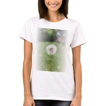 Camiseta de Dandelion