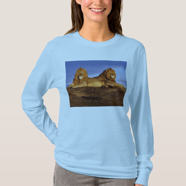 Camiseta de dos hombres leones (Anverso)