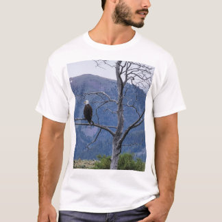 Camiseta de En Vigilia