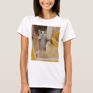 Camiseta de felinas