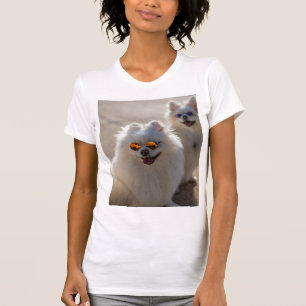 Camiseta de foto de gatos lindos y divertidos, ama