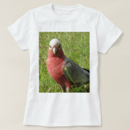 Camiseta de Galah