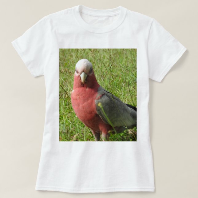 Camiseta de Galah (Diseño del anverso)