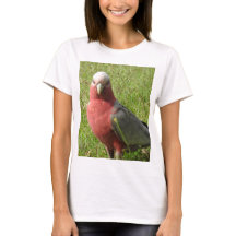 Camiseta de Galah