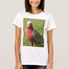 Camiseta de Galah