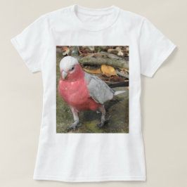 Camiseta de Galah