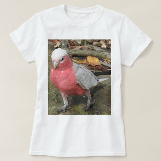 Camiseta de Galah (Diseño del anverso)