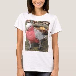 Camiseta de Galah