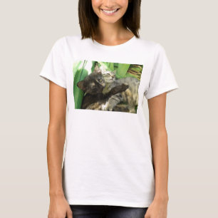 Camiseta de gatitos lindos acurrucados