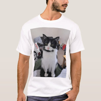 Camiseta de gato
