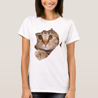 Camiseta de gatos dulces de belleza