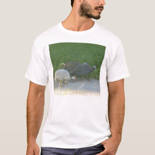 Camiseta de Guinea Fowl