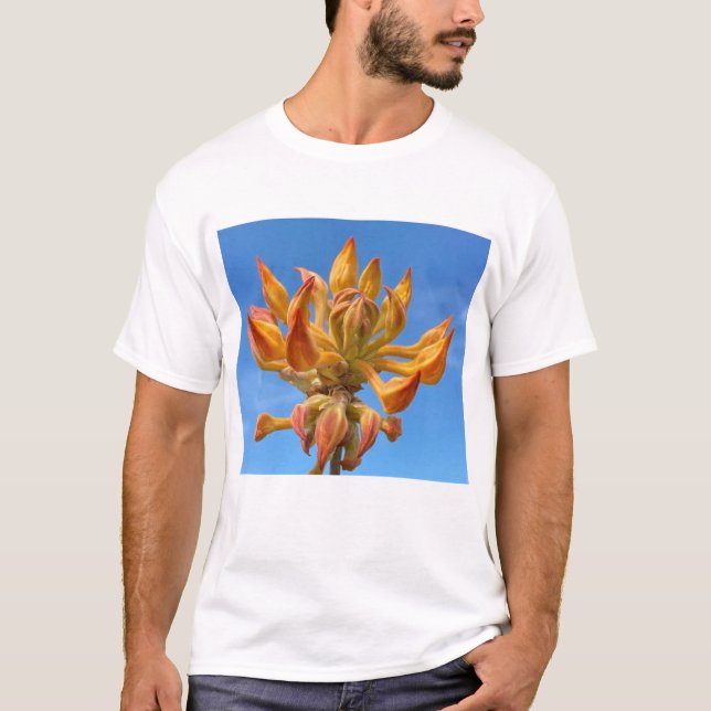 Camiseta de hombre con Azalea de llama de Florida (Anverso)