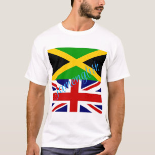 Camiseta de Jamenglish (diversos