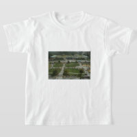 Camiseta de la Academia de Ciencias de California