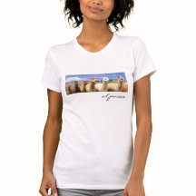 Camiseta de la alpaca