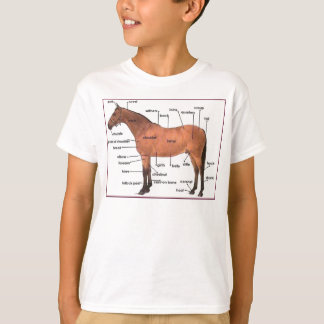 camiseta de la anatomía del caballo