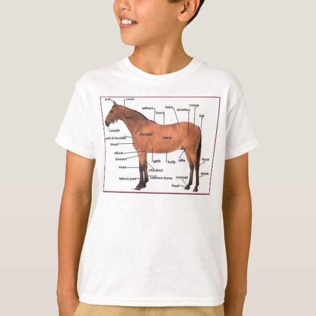 camiseta de la anatomía del caballo (Anverso)