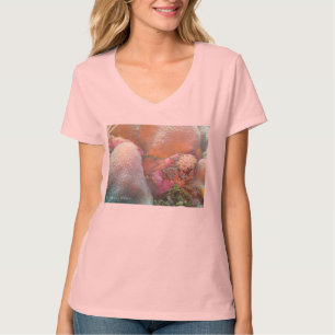 Camiseta de la anguila